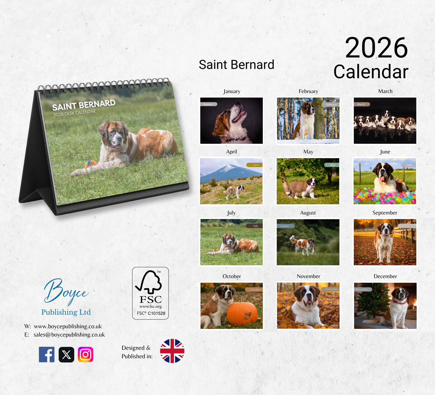 Saint Bernard Desk Calendar 2026-2027