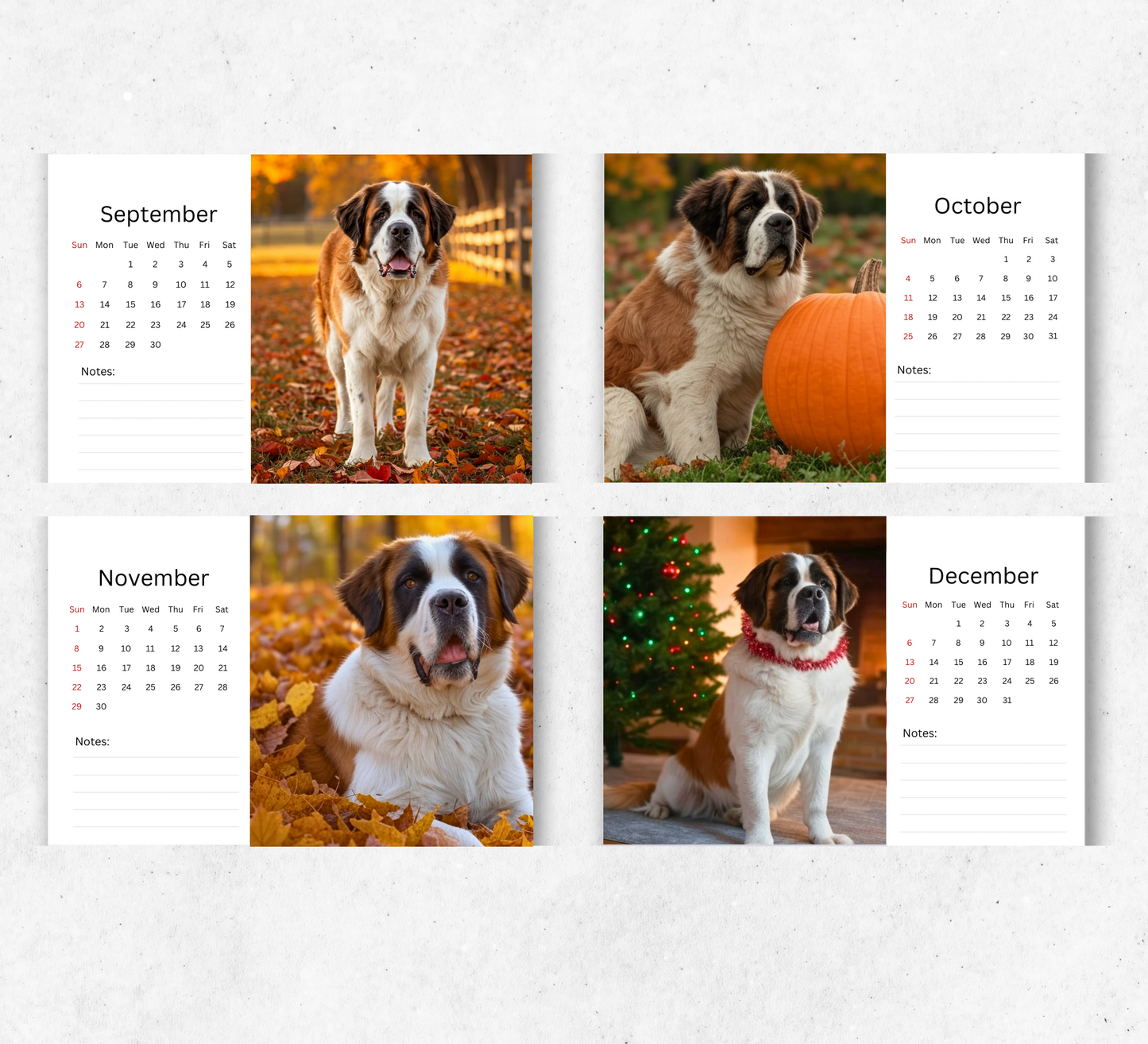 Saint Bernard Desk Calendar 2026-2027