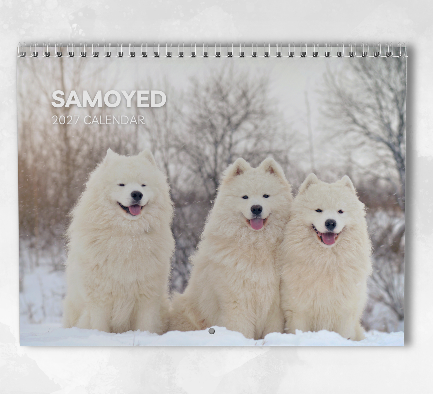 Samoyed Calendar 2027