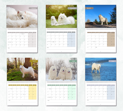 Samoyed Calendar 2027