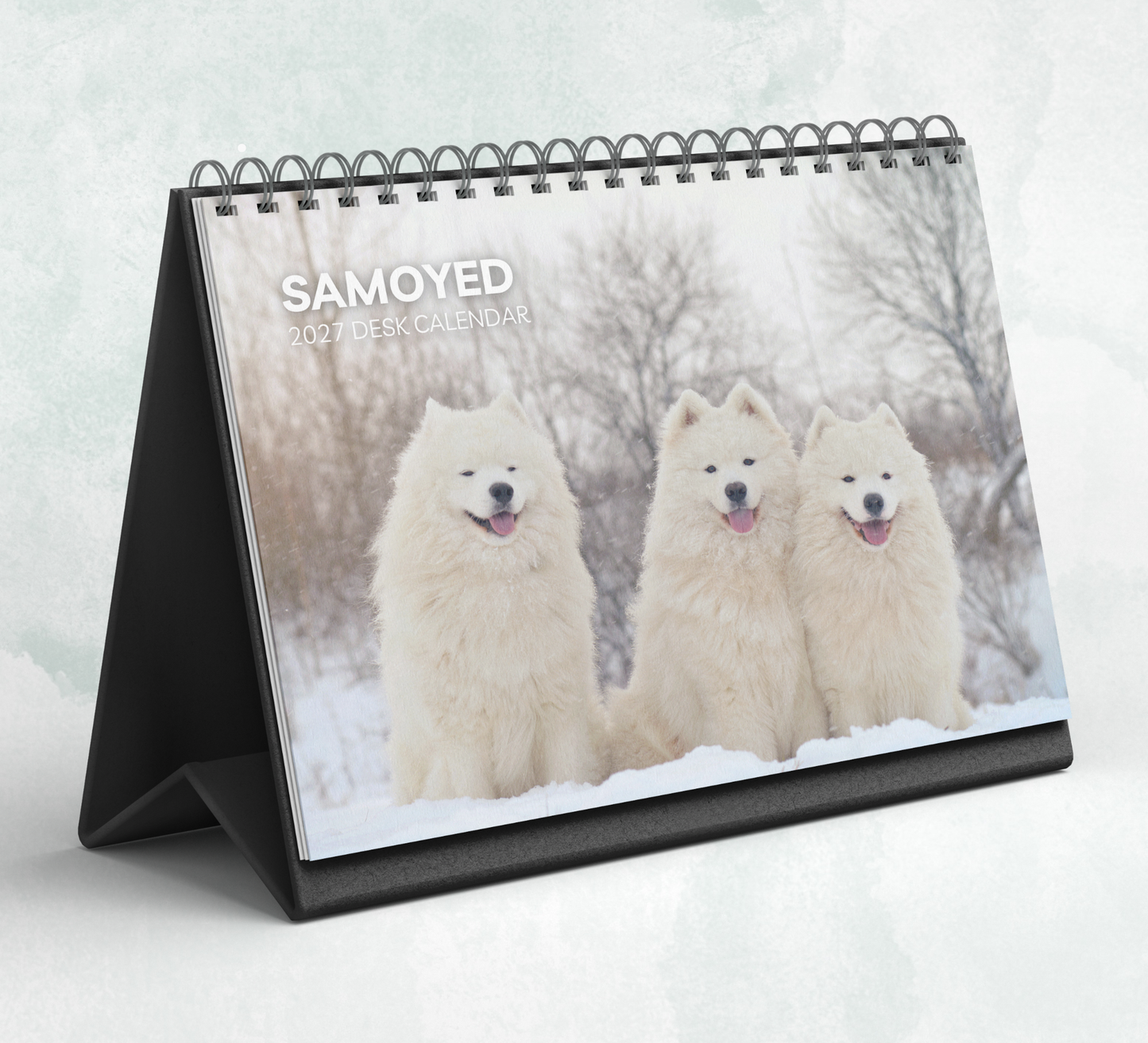 Samoyed Desk Calendar 2027-2028