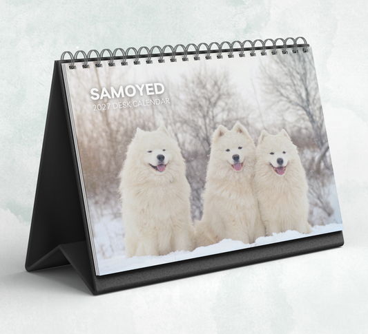 Samoyed Desk Calendar 2027-2028