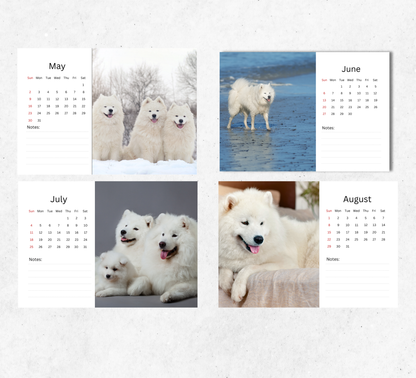 Samoyed Desk Calendar 2027-2028