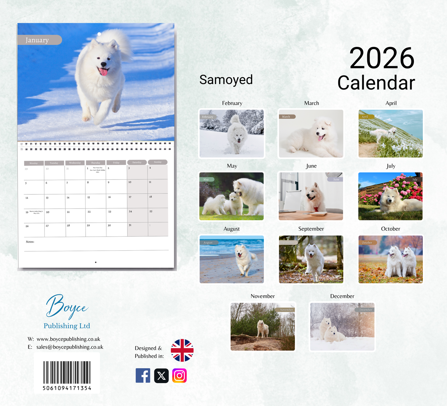 Samoyed Calendar 2026