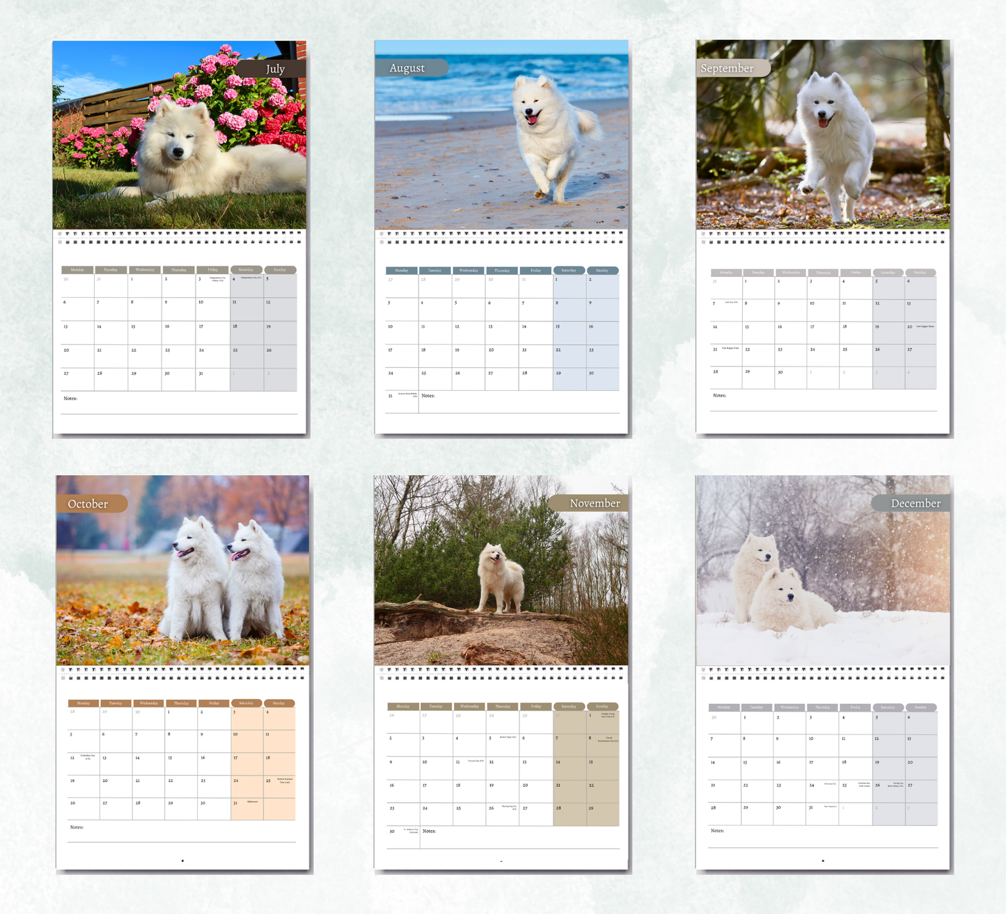 Samoyed Calendar 2026