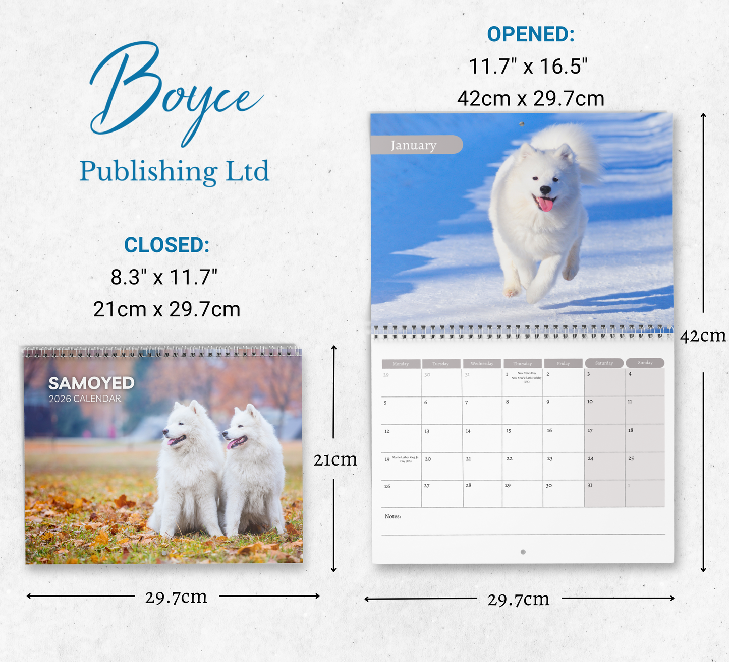 Samoyed Calendar 2026