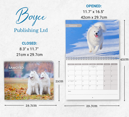Samoyed Calendar 2026