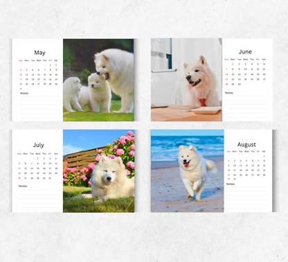 Samoyed Desk Calendar 2026-2027