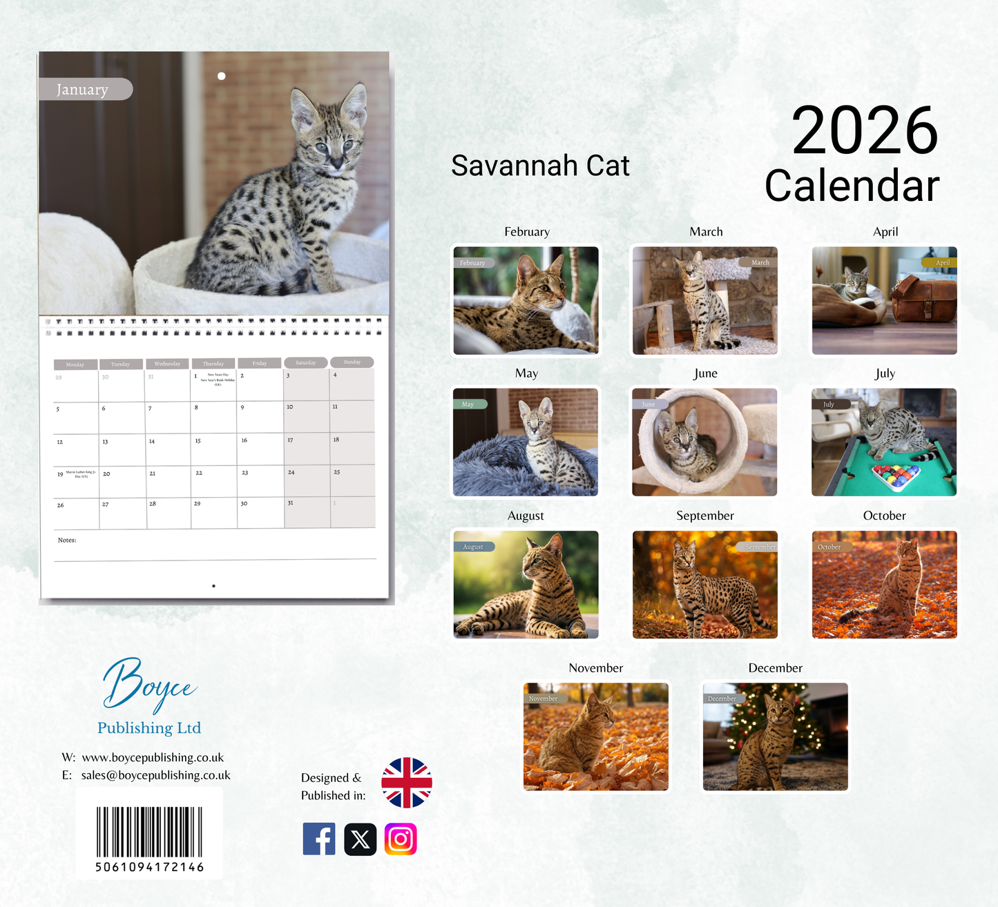 Savannah Cat Calendar 2026