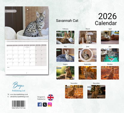 Savannah Cat Calendar 2026