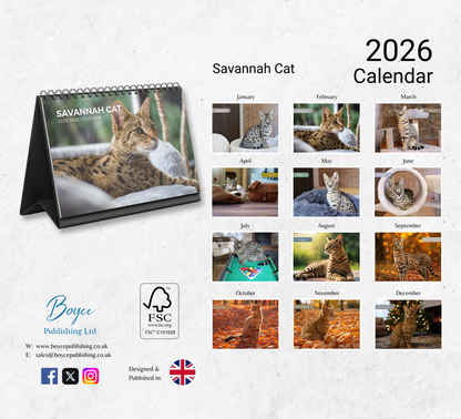 Savannah Cat Desk Calendar 2026-2027