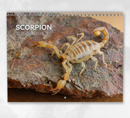 Scorpion Calendar 2026