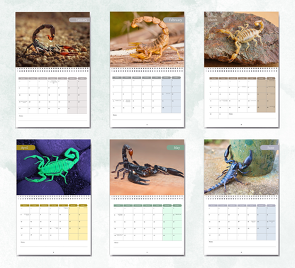 Scorpion Calendar 2026