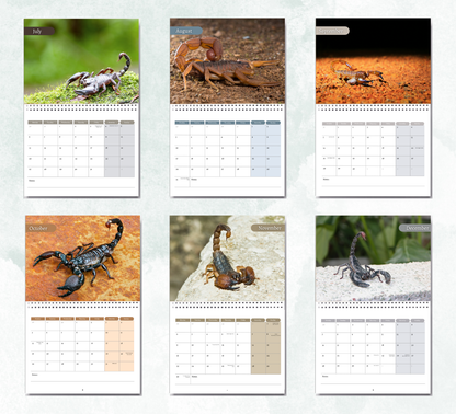 Scorpion Calendar 2026