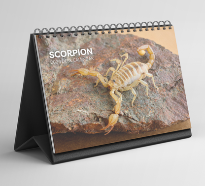 Scorpion Desk Calendar 2026-2027
