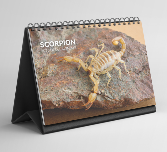 Scorpion Desk Calendar 2026-2027