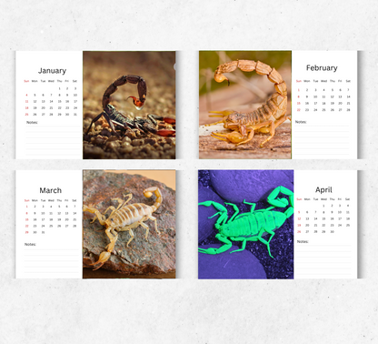 Scorpion Desk Calendar 2026-2027