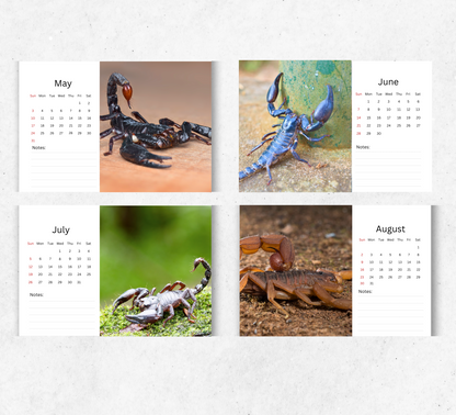 Scorpion Desk Calendar 2026-2027