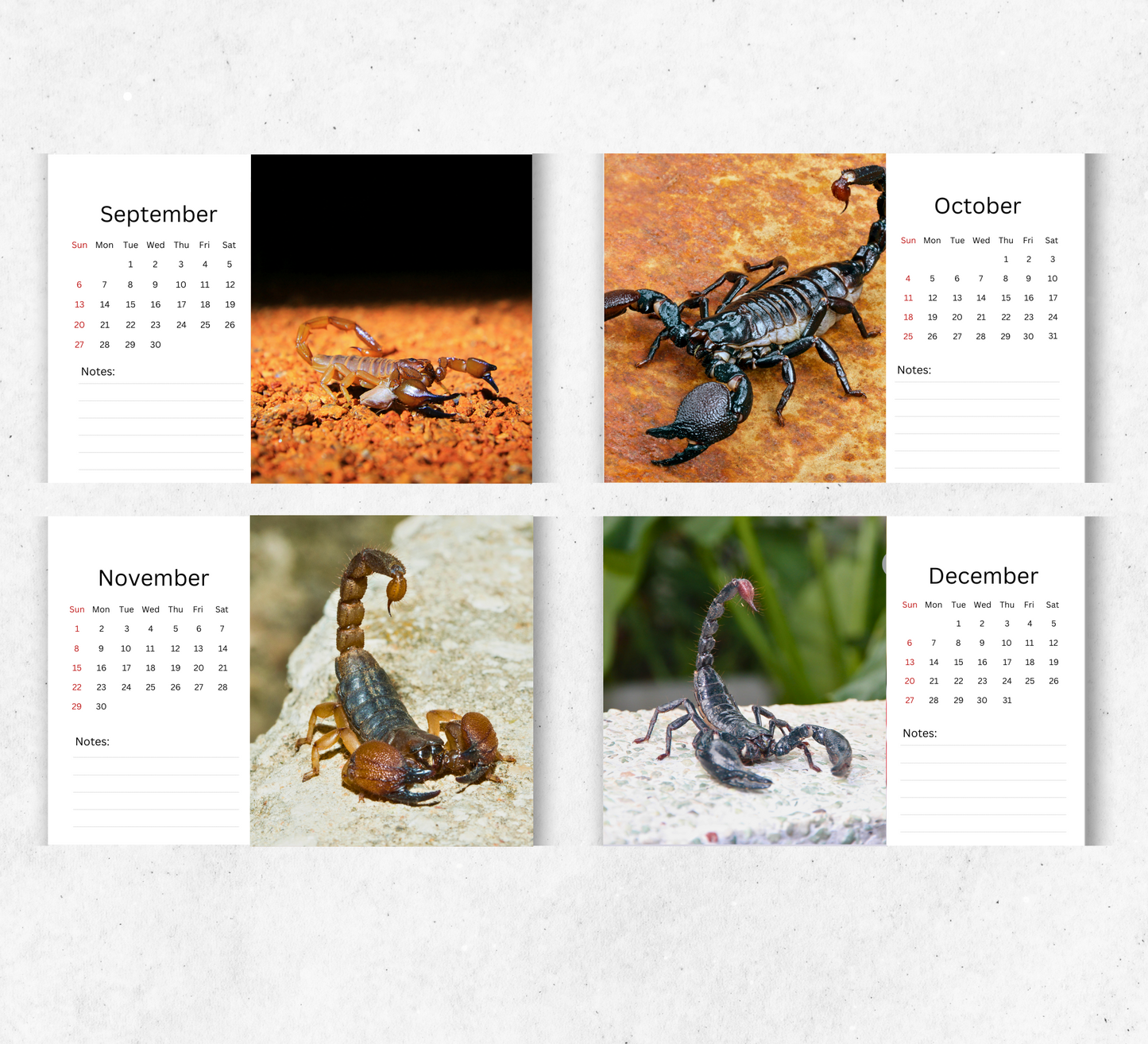 Scorpion Desk Calendar 2026-2027