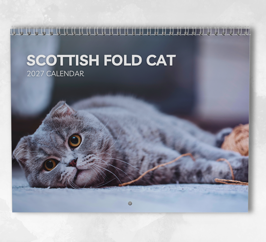Scottish Fold Calendar 2027