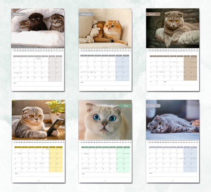Scottish Fold Calendar 2027