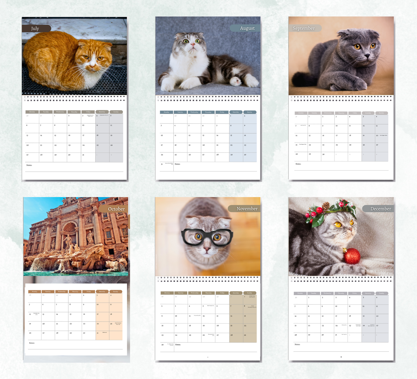 Scottish Fold Calendar 2027
