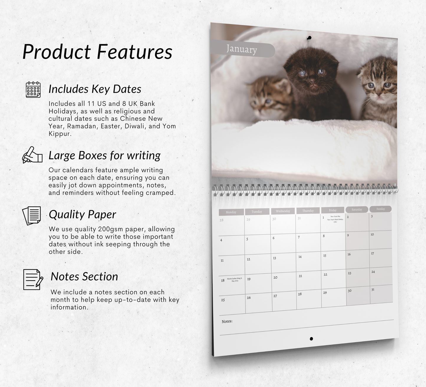 Scottish Fold Calendar 2027