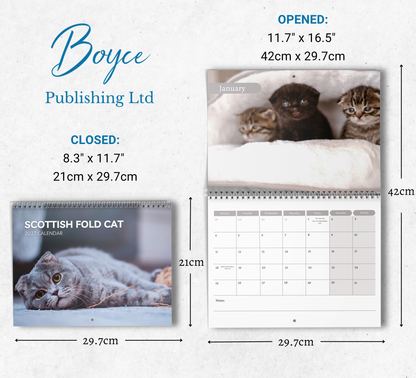 Scottish Fold Calendar 2027