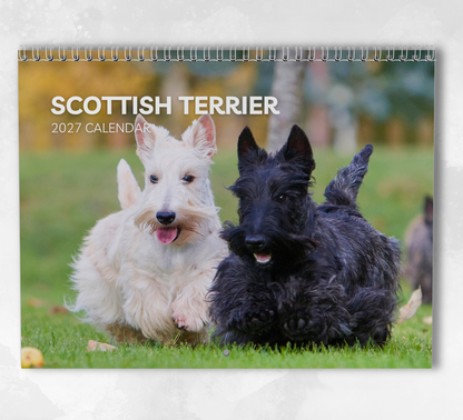 Scottish Terrier Calendar 2027