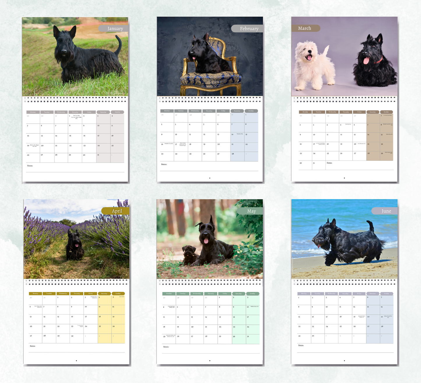 Scottish Terrier Calendar 2027