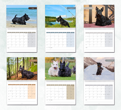 Scottish Terrier Calendar 2027