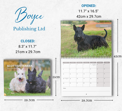 Scottish Terrier Calendar 2027