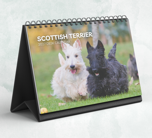 Scottish Terrier Desk Calendar 2027-2028
