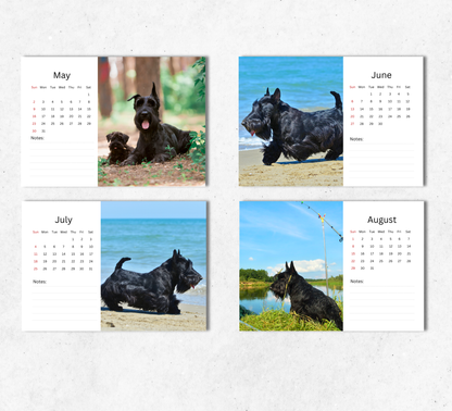 Scottish Terrier Desk Calendar 2027-2028