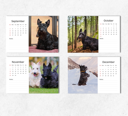 Scottish Terrier Desk Calendar 2027-2028