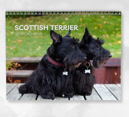 Scottish Terrier Calendar 2026