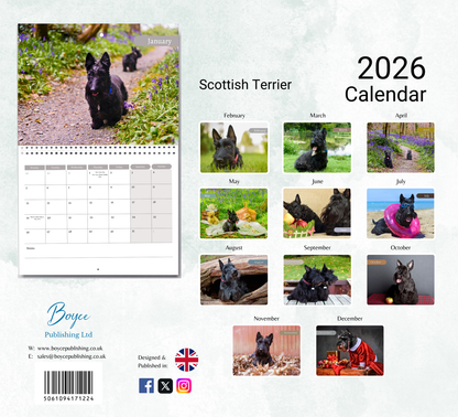 Scottish Terrier Calendar 2026