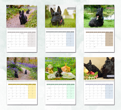 Scottish Terrier Calendar 2026