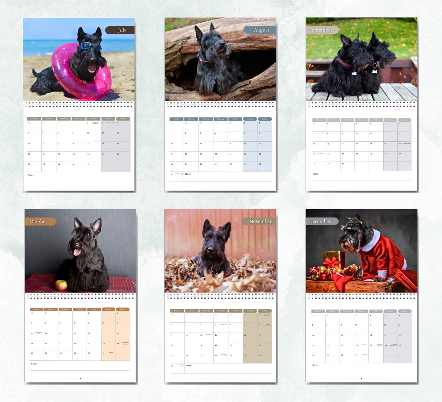 Scottish Terrier Calendar 2026
