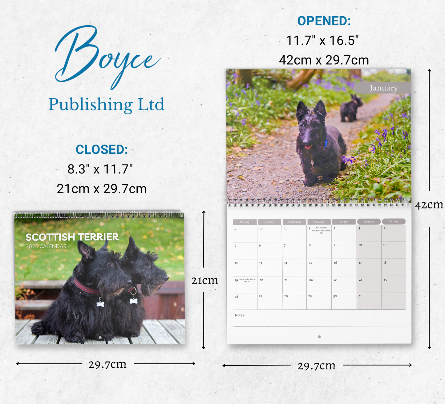 Scottish Terrier Calendar 2026