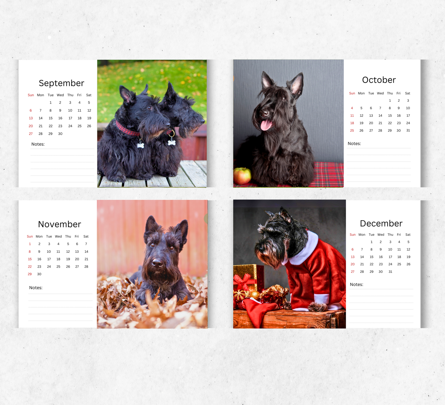 Scottish Terrier Desk Calendar 2026-2027