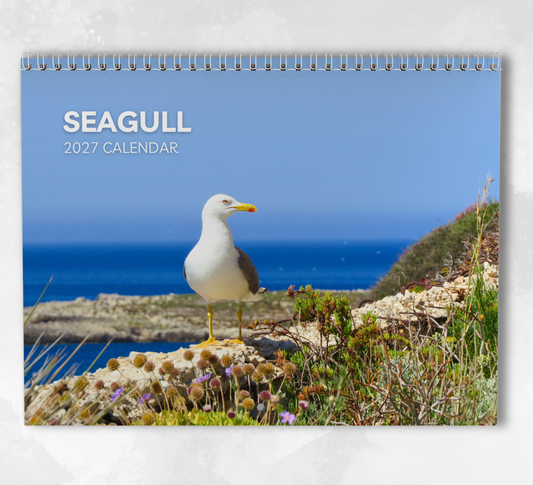 Seagull Calendar 2027