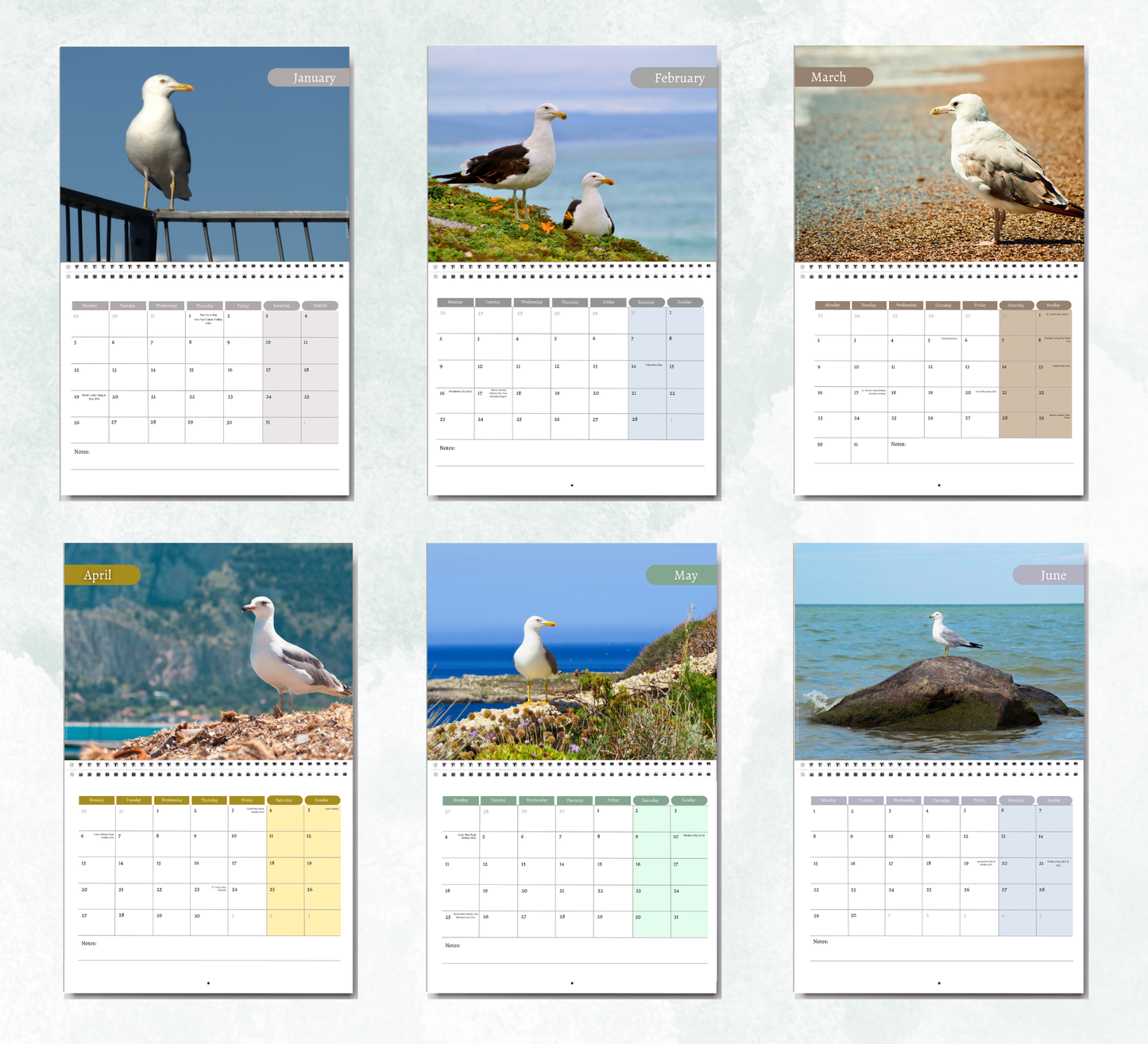 Seagull Calendar 2027
