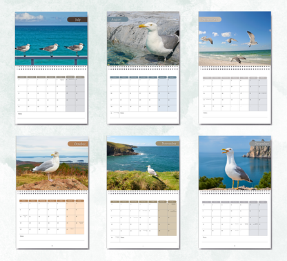 Seagull Calendar 2027