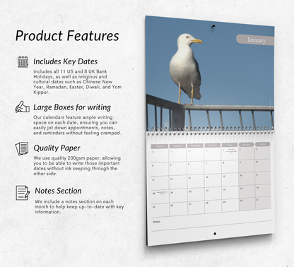 Seagull Calendar 2027
