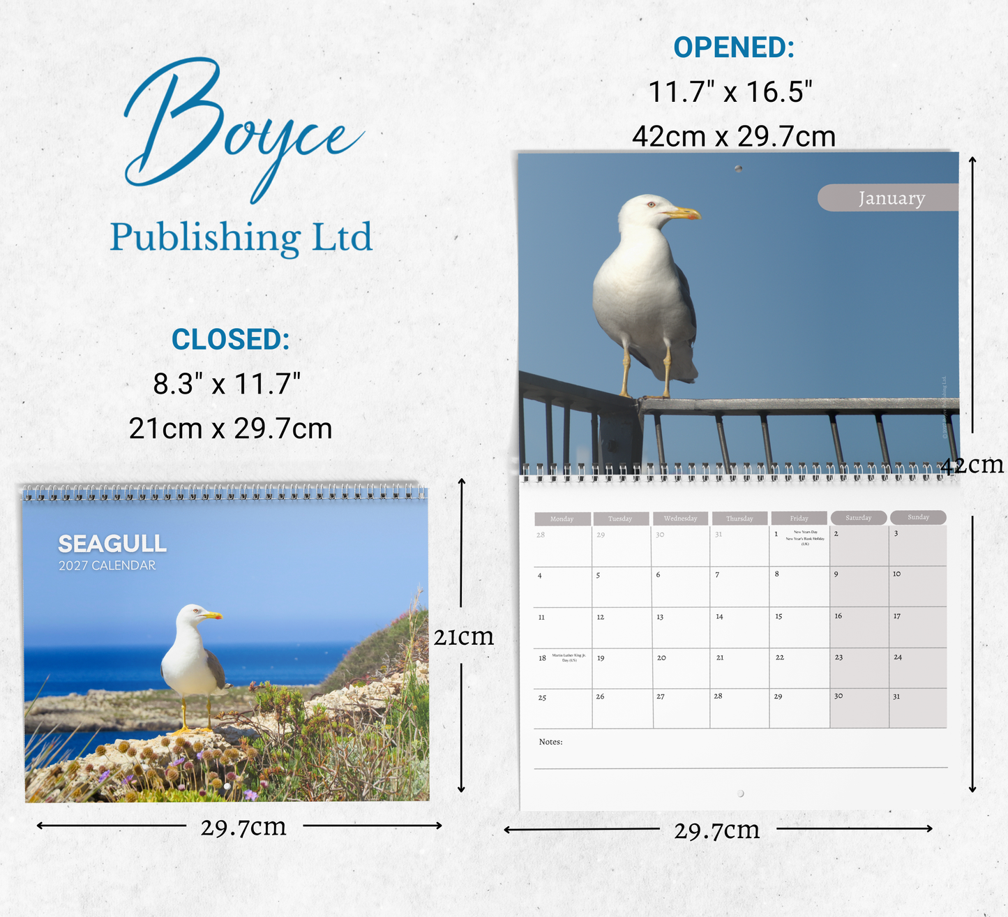 Seagull Calendar 2027