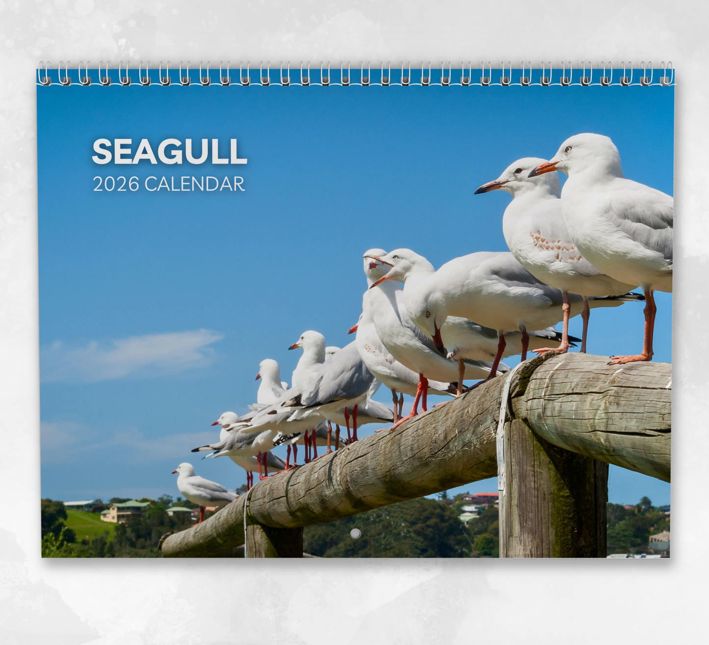 Seagull Calendar 2026