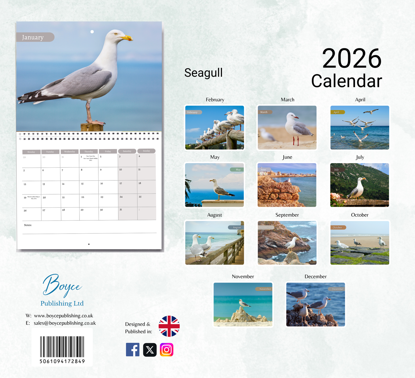 Seagull Calendar 2026