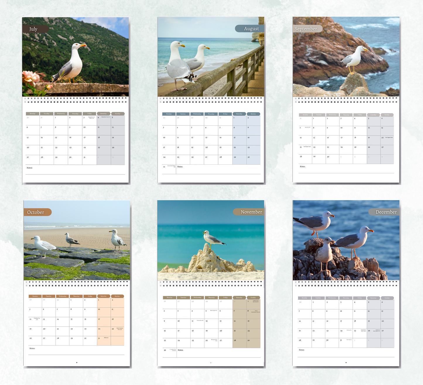 Seagull Calendar 2026