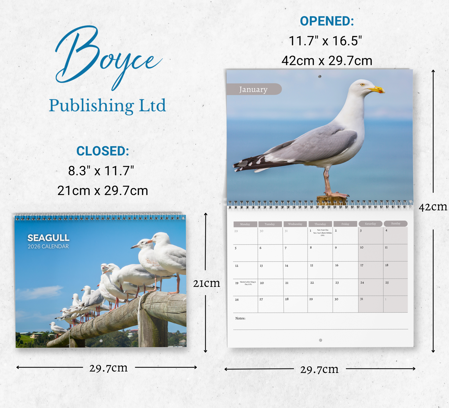 Seagull Calendar 2026